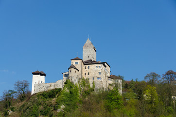 Fototapeta na wymiar Kipfenberg Burg 1