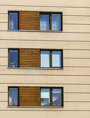 Modern apartment with wooden facade