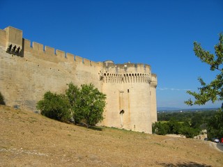 Fort Saint-André, Villeneuve-lès-Avignon