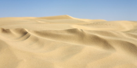 Dunes de sable clair du désert tunisien