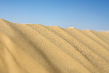 Obraz na płótnie Canvas Dunes de sable clair du désert tunisien