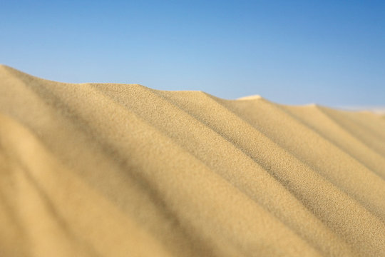 Dunes de sable clair du désert tunisien