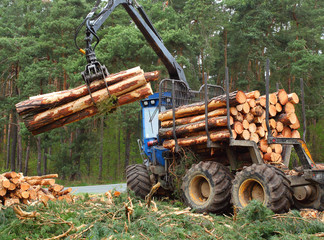 The harvester working in a forest.