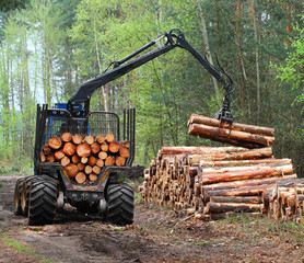 The harvester working in a forest.