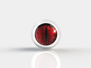 Eye in a glass sphere
