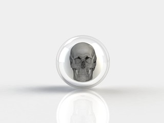 Skull in a glass sphere