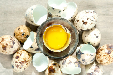 Quail egg yellow yolk top view. Eggshell. Indoors closeup.