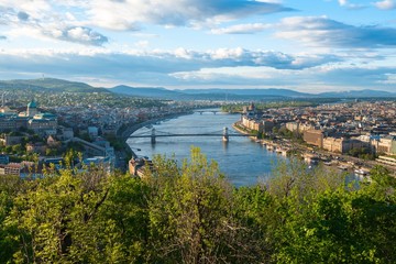 Obraz premium Green grass background