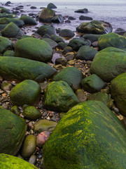Grüne Felsen an der Küste Rügens