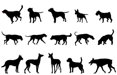 dogs collection silhouettes - vector - obrazy, fototapety, plakaty