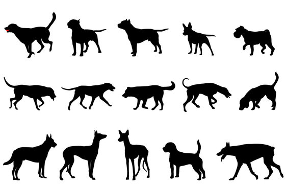 dogs collection silhouettes - vector