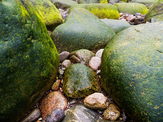 Grüne Felsen an der Küste Rügens