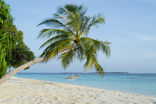 Beautiful palm beach in Maldives
