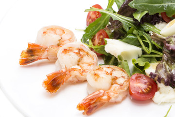 shrimp salad and greens on a white background