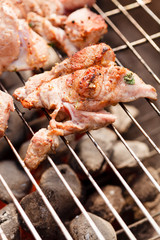 grilled meat