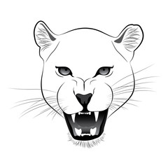 Lioness Vector Cartoon