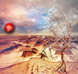 Desert in the dawn © Rosario Rizzo