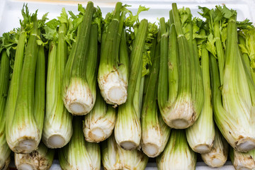 Fresh group of Celery.