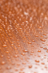 Drops of rain on wood