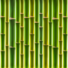 Green bamboo fence background
