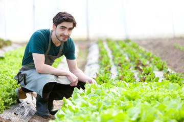 Young attractive farmer verify progress of culture