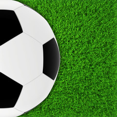 soccer ball on green grass