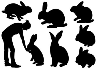 Set of different rabbits isolated on white