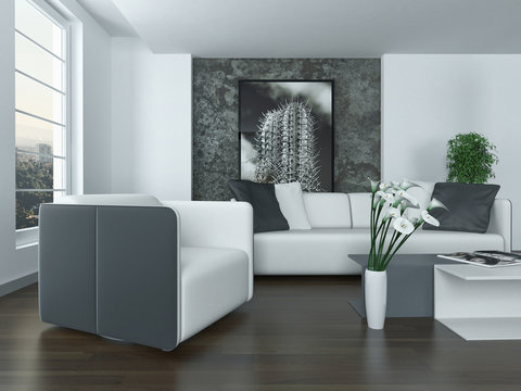 Modern grey and white living room interior