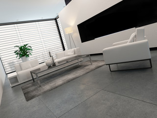 Modern white, grey and black living room interior