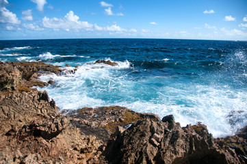 Fototapeta na wymiar Wild Coastline of Aruba in the Caribbean