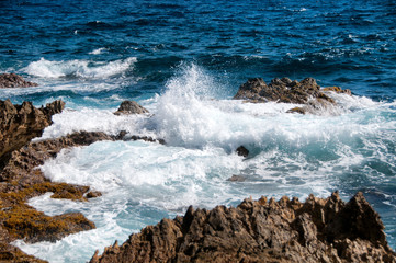 Wild Coastline of Aruba in the Caribbean
