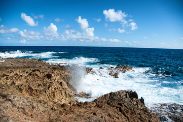 Fototapeta na wymiar Wild Coastline of Aruba in the Caribbean