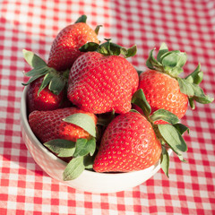 Small bowl filled with succulent juicy fresh ripe red strawberri