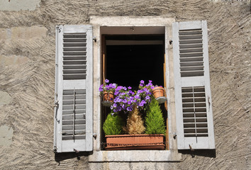Vecchia finestra con fiori
