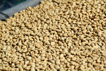 Coffee beans