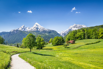 Fototapeta premium Idyllic summer landscape in the Alps