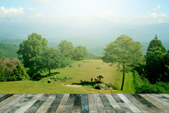 Fototapeta Tropical forest above a wooden floor
