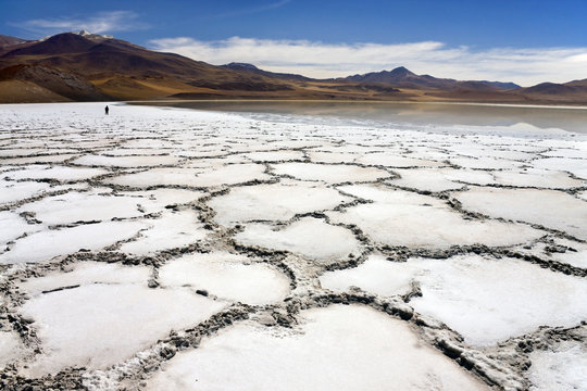Tuyajto Lagoon and Salt Flats - Atacama Desert - Chile