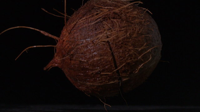 Coconut falling and splitting on black background