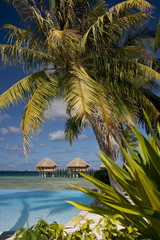 Tropical Island Paradise - French Polynesia