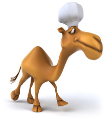 Camel