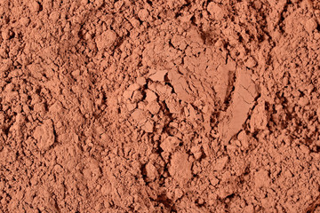 Heap of cocoa powder