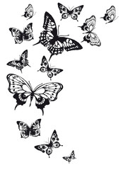 butterflies design