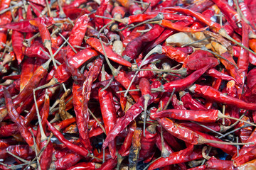 buffalo skull with horns