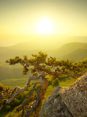 Obraz premium Mountain landscape during sunrise in summer time