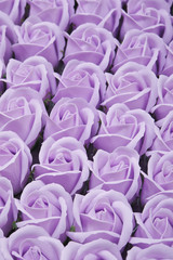 Obraz premium roses