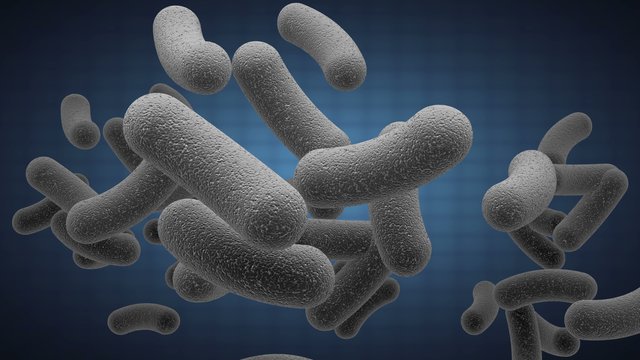 close up microbiology background. alpha matted