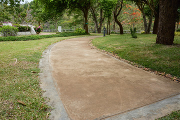 Walkway in garden 