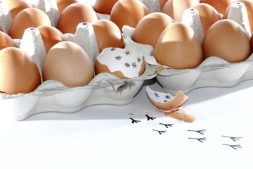 ei ausbruch, küken, schlüpfen, hintergrund schwarz, Ostern