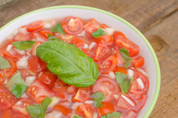 Tomato salad with onion and basil